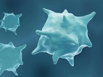 喜報(bào) | 達(dá)博生物全資子公司泰禾生物“注射用重組改構(gòu)人腫瘤壞死因子”獲臨床試驗(yàn)?zāi)驹S可