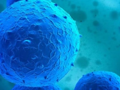 再傳喜訊！達(dá)博生物“人臍帶間充質(zhì)干細(xì)胞注射液”獲臨床試驗?zāi)驹S可