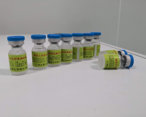 重組人內(nèi)皮抑素腺病毒注射液（E10A）
