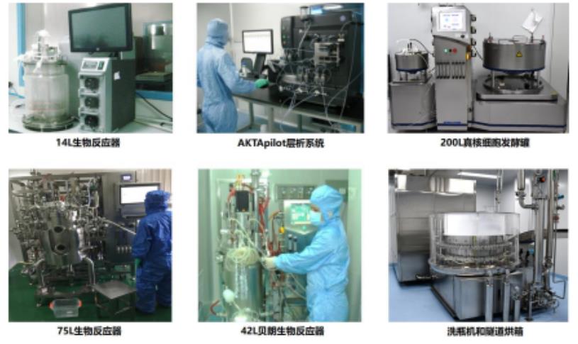 達(dá)博生物 CDMO 服務(wù)平臺(tái)