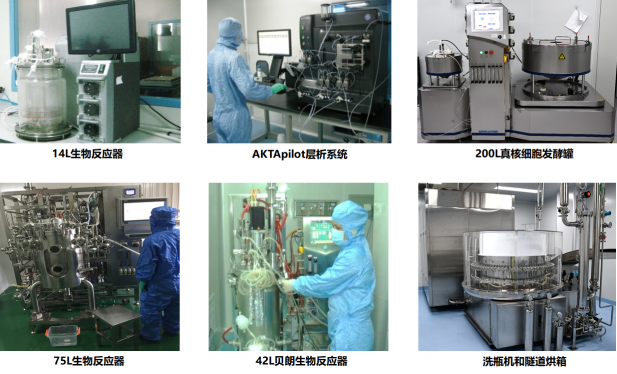 真核細胞發(fā)酵平臺