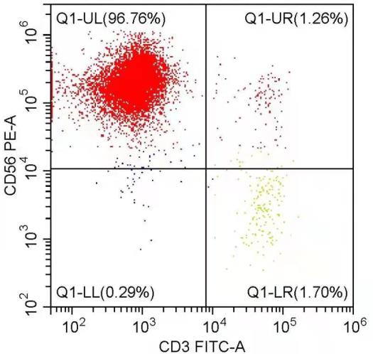 高純度NK細(xì)胞