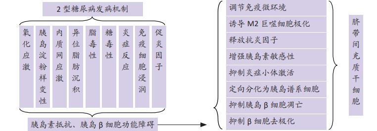 人臍帶間充質(zhì)干細胞(E10I)注射液