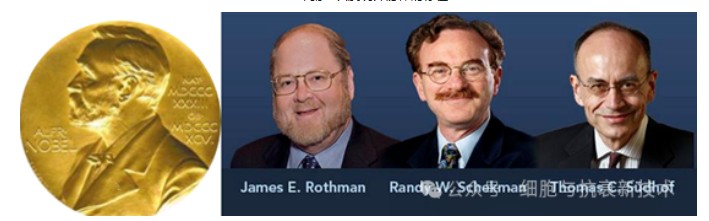 2013年諾貝爾生理學或醫(yī)學獎獲得者